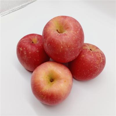 China Fresh Apple Fruit Packaging Boxes Fresh Apple Fruit With High Quality for sale