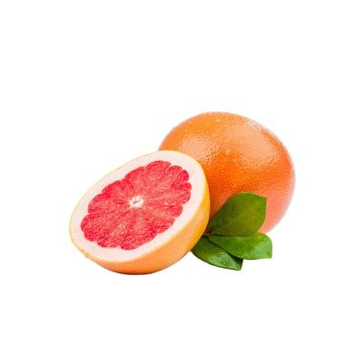 China Hot Selling Fresh 2021 Fresh New Harvest Red / White Citrus Honey Pomelo Fresh China Manufactures for sale