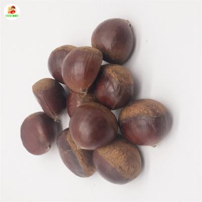 China Wholesale Fresh Cheap Price Best Quality Chinese Chestnut Turkish Chestnut for sale