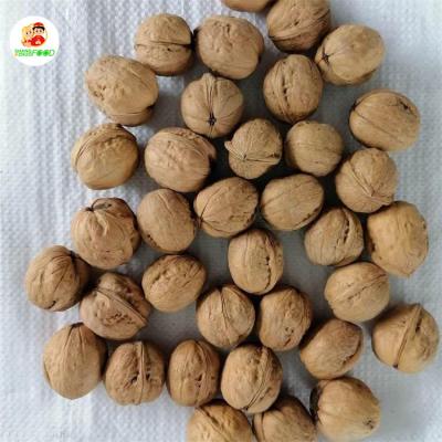 China High Quality Walnut Kernels Price Supplier 185 Dry Unwashed Walnuts To Shell for sale