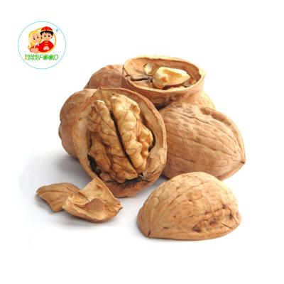 China New Factory Nutritious Healthy Delicious New Factory 100% Natural Nutritious Cultivation China Xinjiang Nuts With Shell for sale