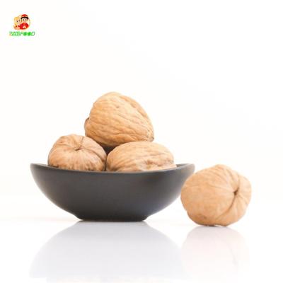 China Xinjiang Shell Raw Walnuts Dried Paper Nuts in Organic Turkey Nut Kernel with Low Price for sale