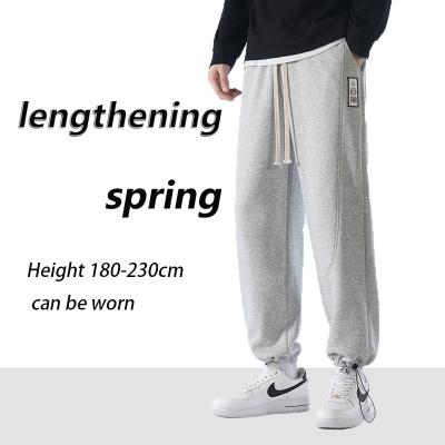 China Other Factory direct professional men's pants Giant casual pants basketball players long legs men's pants specialty for sale