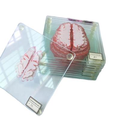 China Viable Cheap Custom Glass Brain Coaster /beach Glass Themed Beer Coaster for sale