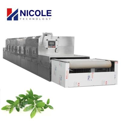 Cina CE del tunnel ss 304 Olive Leaf Drying Machine Microwave approvato in vendita