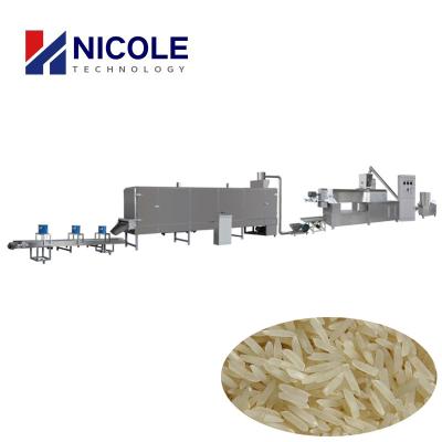 China Cadena de producción artificial del arroz del tornillo doble, máquina del arroz de 200 - 300kg/H Frk en venta