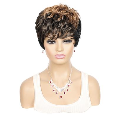 China Best Selling Afro Brazilian Short Pixie Cut Curly Bun Wig Curly Wig for sale