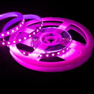 China Hot Selling Theme Park Decoration SMD 2835 Outdoor Waterproof IP20 12V Cable Led Strip Light Pink for sale