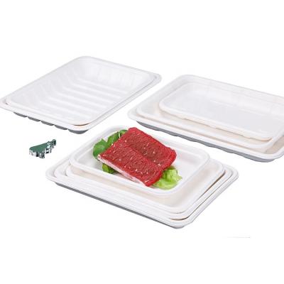 China Disposable Biodegradable Bagasse Party Sugarcane Food Catering Tableware Eco Friendly Biodegradable Tray for sale