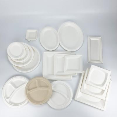 China Disposable Disposable Tableware Dinner Plates Biodegradable Oval Tableware Sugarcane Pulp Dishes Dishes for sale