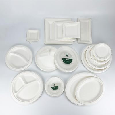 China Professional Disposable Bagasse Manufacturer 10 Inch Oval Compostable Disposable Sugar Cane Bagasse Plates for sale