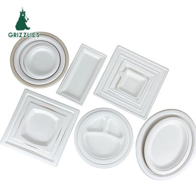 China Disposable Customizable Natural Sugar Cane Food Dish Bagasse Disposable Paper Tableware Biodegradable Dinner Dish for sale