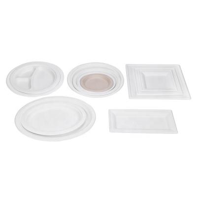 China Customized Disposable Square Dish Biodegradable Compostable Biodegradable Dinner Place Pulp Sugar Cane Dish Biodegradable and Compostable Dish for sale