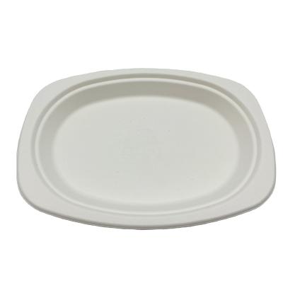 China Disposable Disposable Sugarcane Paper Pulp Dish for sale