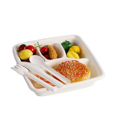 China 3/4 Compartments Disposable Biodegradable Bagasse Catring Disposable Tray for sale