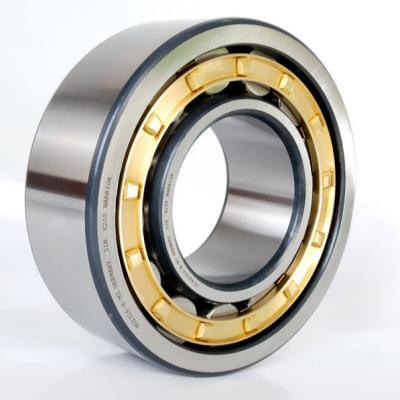 China Long Life RN High Quality N NJ NUP 309 307 306 305 304 303 302 NU 301 300 2211 NJ2214 NUP307ENV Single Row Cylindrical Roller Bearing for sale