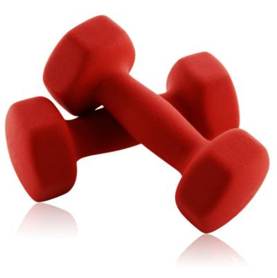 China Wholesale Durable Cheap Colorful Fitness Gym Equipment Home Dumbbell Set Portable Matt Weight Female Women Rubber Hex Dumbbell for sale