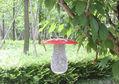 China Mushroom Nuts Metal Hanging Bird Feeder Red And White Color Easy Open for sale