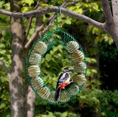 China SS Spring Fat Ball Bird Feeder / Shelled Peanut Bird Feeder Blue Powder Coated for sale