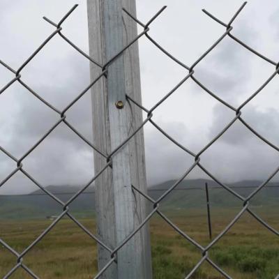 China Easily Assembled Factory Direct Sale 10 Gauge 1-2 Inch, 5 Ft, 6 Ft, 8 Ft & 10 Ft High Plastic Coated PVC Galvanized Chain Link Fence for sale