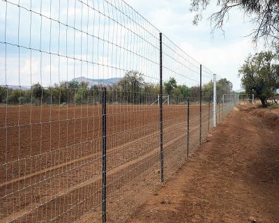 China Fence Mesh Galvanized Weldspan Wire Sieve And Post For Farm for sale