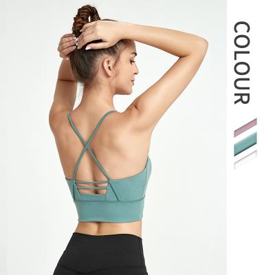 China Free Size Yoga Sports Bra Active Wear Active Wear High Quality Basic Wear Breathable Basic for sale