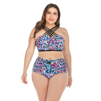 China Breathable Women Plus Size Halter Neck Tankini Swimsuit Swimwear Two Piece Swimsuit (M-4XL) for sale