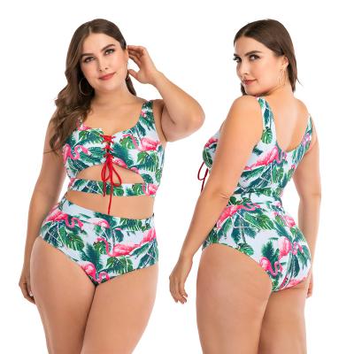 China Women's Breathable Flamingo Fresh Leaves Printing High Advance Lace Criss Cross Adjustable Waist Bikini Two Piece Sets for sale