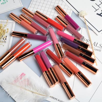 China Waterproof No Logo Waterproof Long Lasting Matte Liquid Lipstick Lipstick Oem Private label for sale