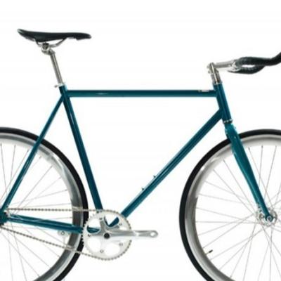 China Single Speed fixed gear fixie bike for sale