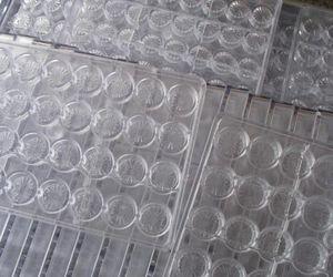 China Chocolate Polycarbonate moulds for sale