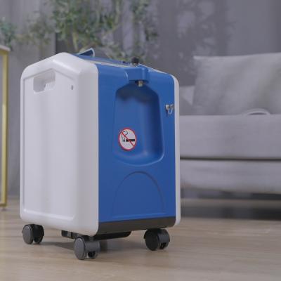 China 10 Liter Oxygen Concentrator Metal Nebulizer OEM Price Foshan Factory High Flow for sale