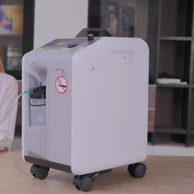 China High Quality 10L Acrylic Medical Supplies Medical Devices In Running Design Oxygen Concentrator for sale