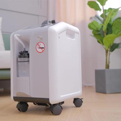 China High Quality 10L Equipments Acrylic Household Physiotherapy Medical Devices In Running Oxygen Concentrator for sale