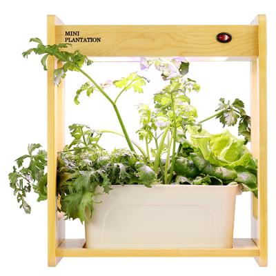 China Corn Plant Modern Mini System Vertical Equipment Piece Smart Garden Vegetable Sprouting Kit for sale