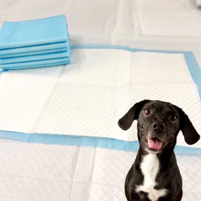 China Viable Wholesale Cheap Waterproof Puppy Pads Dog Pee Pad Puppy Pet Training Protection for sale