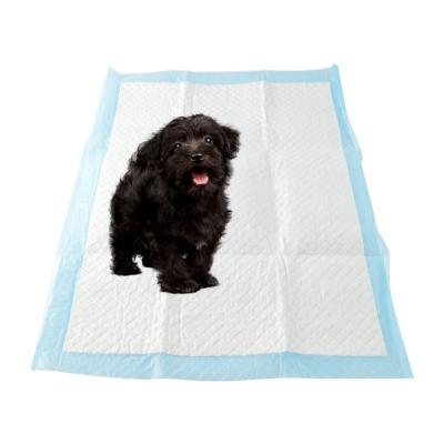 China Custom Sustainable Scented Pads Puppy Training Pad Lemon Scent Pads for sale