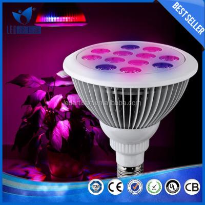 China Nice indoor use design led to grow light led to grow light hydroponic for sale