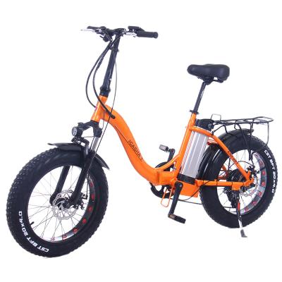 China Electric Snow Bike 20