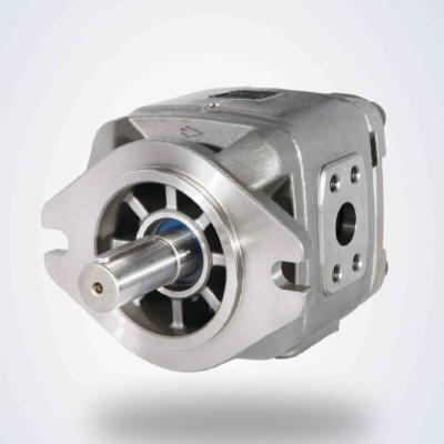 China Industrial Utilities Wheel Motor Drive Hydraulic Pump Utilities Industrial Internal Hydraulic Gear Pump Tmp-016Rpw-S10 for sale