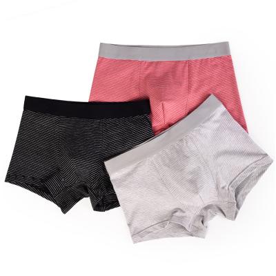 China Comfortable Cotton Mens Breathable Basic Cut Stripe Boxers for sale