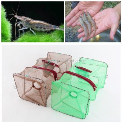 China HOT SALE Shrimp Shrimp Mullet /Fish/ Minnow Trap for sale