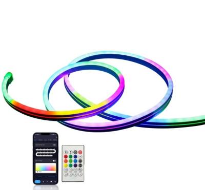 China Remote Control App 24V Contemporary Flexible RGBIC Smart Color Changing Neon LED Light Strip Flex Rope With Customized Logo For Holiday Decor for sale