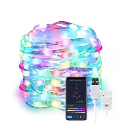 China Contemporary Christmas Decoration Music Sync 10m Smart String USB Powered Electric Fairy Lights Voice Controlled by Alexa Google Assistant for sale