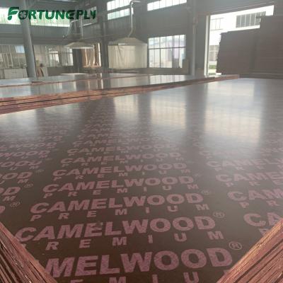 China MODERN RED-BROWN 18MM MARINE PLYWOOD FOR DUBAI MARKET for sale