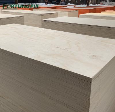 China Modern BIRCH PLYWOOD FOR DUBAI MARKET for sale