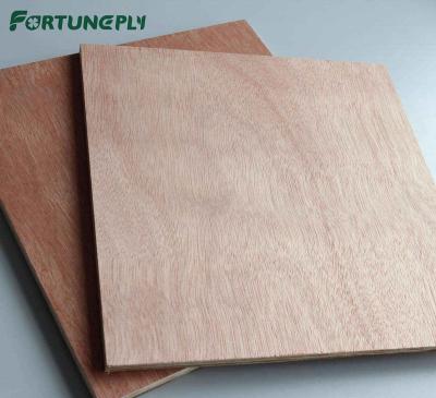 China Best quality poplar Bintangor/Okoume/Pine...etc. modern commercial plywood / combi core plywood for sale