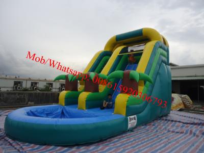 China Commercial Tropicmarble14ft Waterslide Inflatable for sale