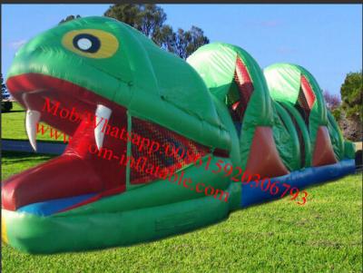 China Frog Rent Large Inflatable Obstacle Course for sale