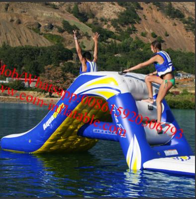 China Freefall 6 Inflatable Water Slide Aquatic Jungle Joe Water Slide for sale